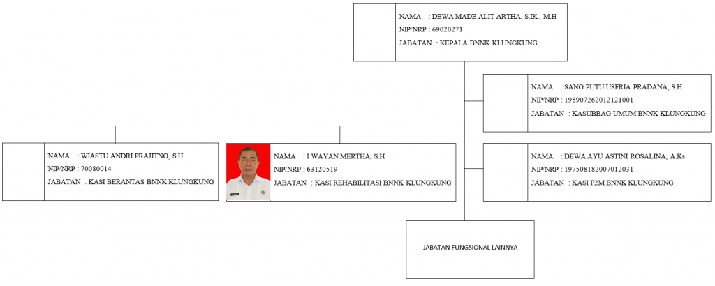 Struktur Organisasi BNN Kabupaten Klungkung